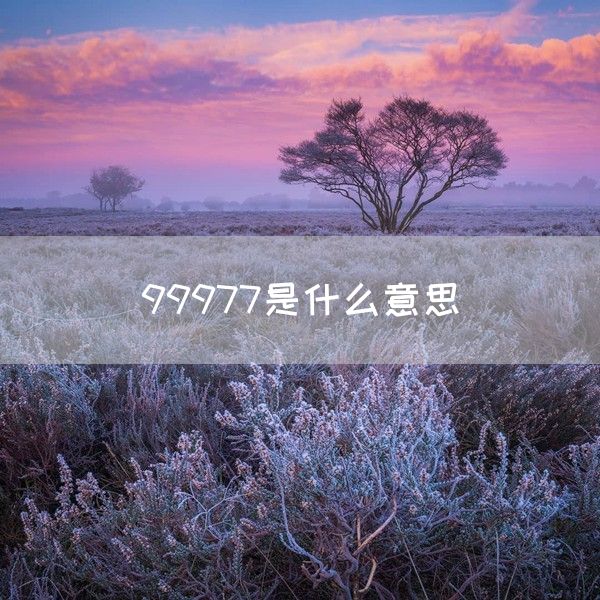 99977是什么意思(图1)