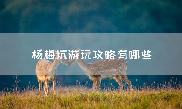 杨梅坑游玩攻略有哪些(图1)