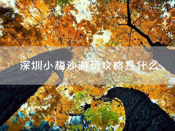 深圳小梅沙游玩攻略是什么(图1)