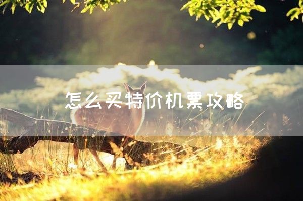 怎么买特价机票攻略(图1)