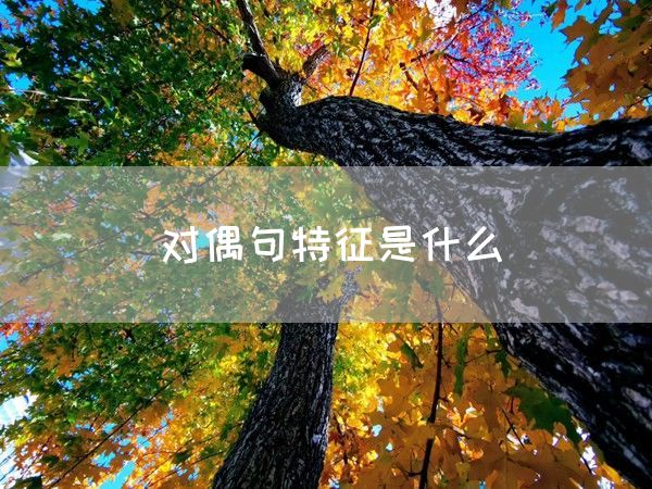 对偶句特征是什么(图1)