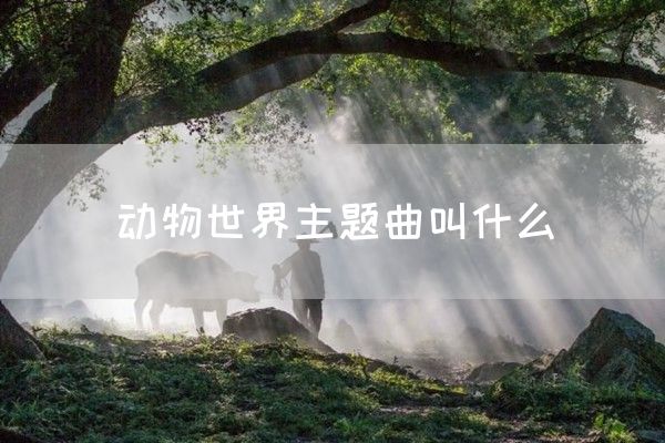 动物世界主题曲叫什么(图1)