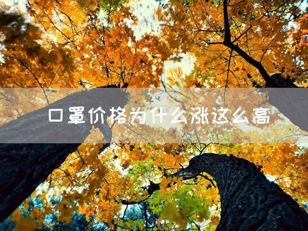 口罩价格为什么涨这么高(图1)