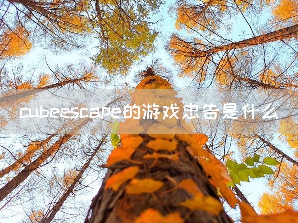 cubeescape的游戏忠告是什么(图1)