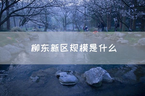 柳东新区规模是什么(图1)