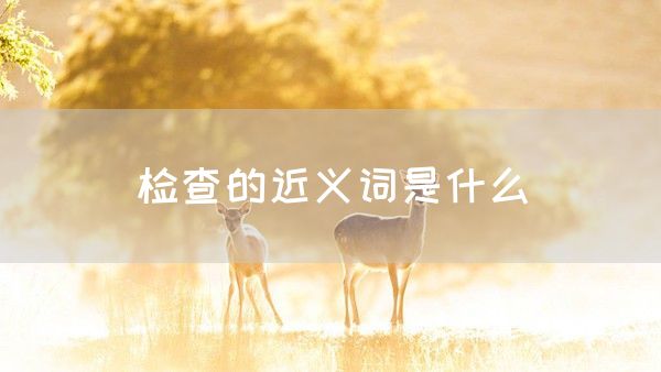 检查的近义词是什么(图1)