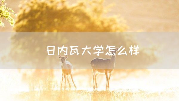 日内瓦大学怎么样(图1)