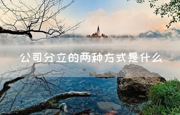 公司分立的两种方式是什么(图1)