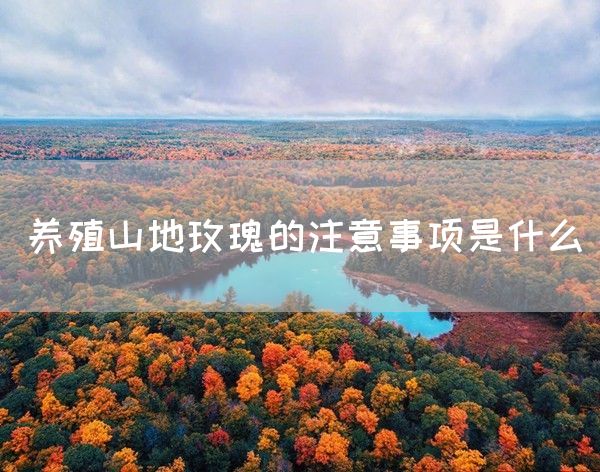 养殖山地玫瑰的注意事项是什么(图1)