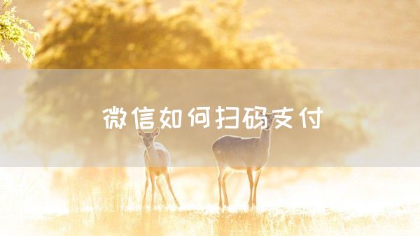 微信如何扫码支付(图1)