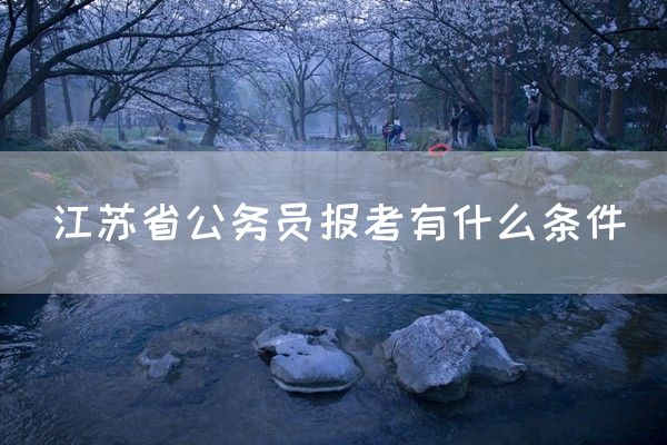 江苏省公务员报考有什么条件(图1)