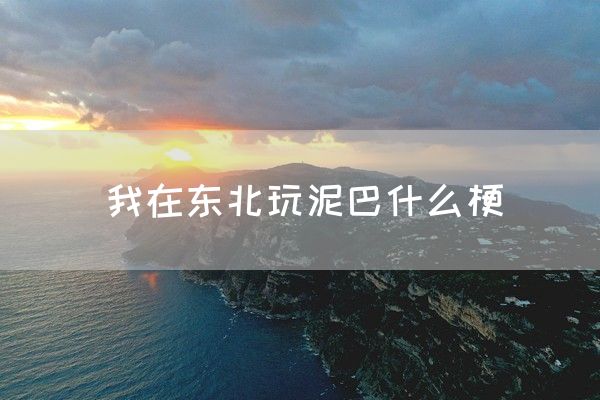 我在东北玩泥巴什么梗(图1)