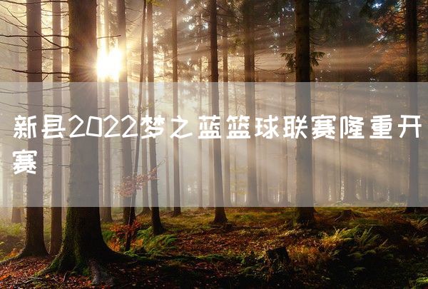 新县2022梦之蓝篮球联赛隆重开赛