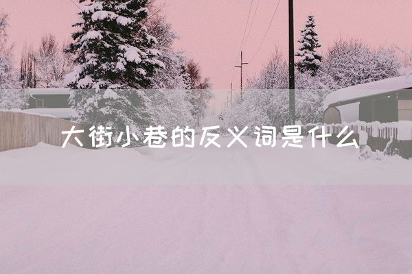 大街小巷的反义词是什么(图1)