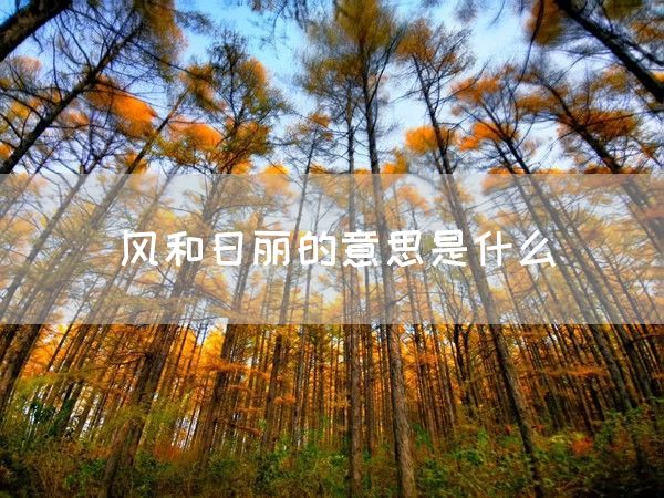 风和日丽的意思是什么(图1)