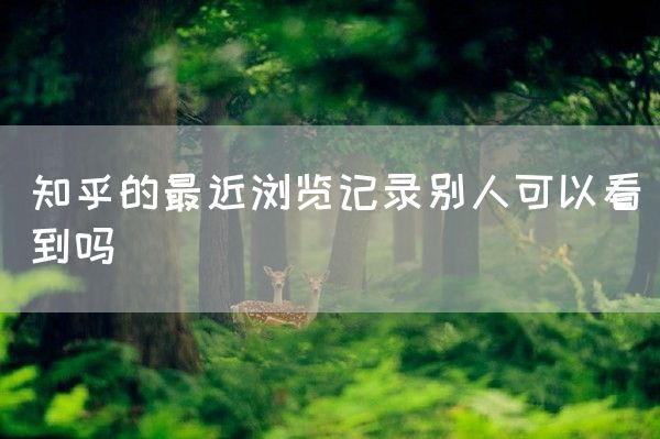 知乎的最近浏览记录别人可以看到吗(图1)