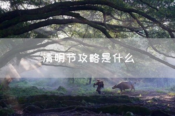 清明节攻略是什么(图1)