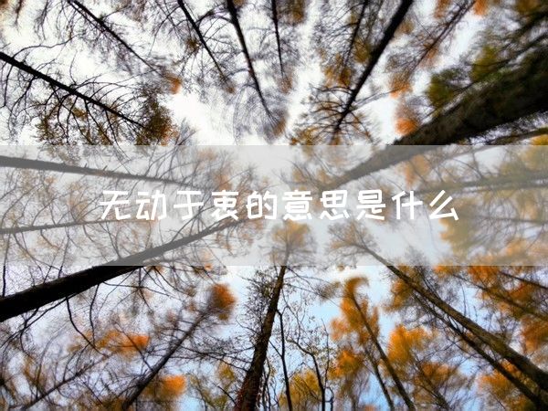 无动于衷的意思是什么(图1)