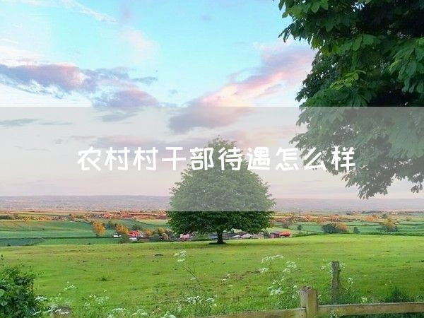 农村村干部待遇怎么样(图1)