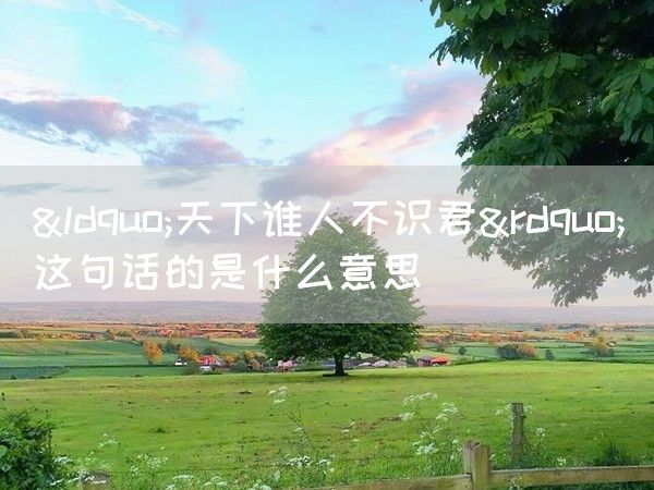 “天下谁人不识君”这句话的是什么意思(图1)