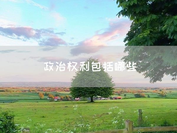 政治权利包括哪些(图1)