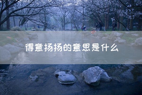 得意扬扬的意思是什么(图1)