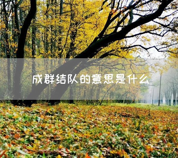 成群结队的意思是什么(图1)