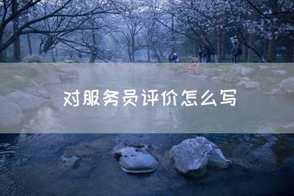 对服务员评价怎么写(图1)