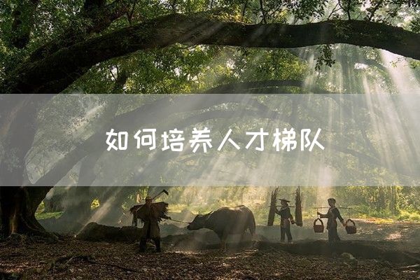 如何培养人才梯队(图1)