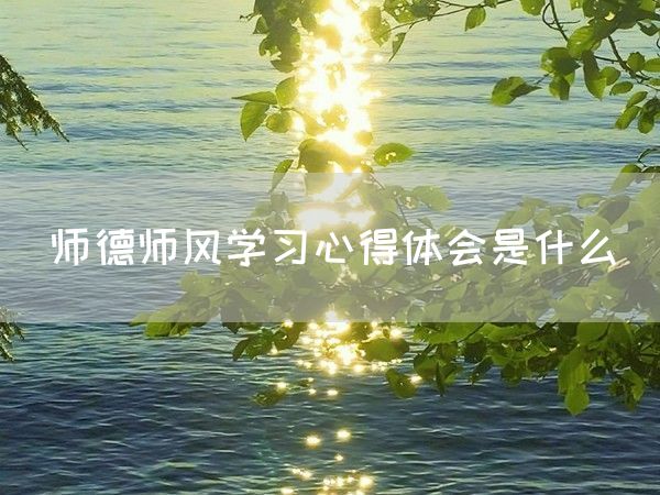 师德师风学习心得体会是什么(图1)