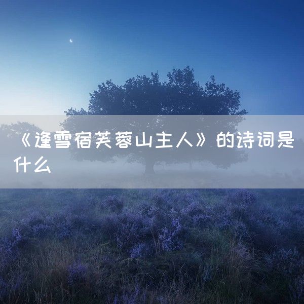 《逢雪宿芙蓉山主人》的诗词是什么(图1)