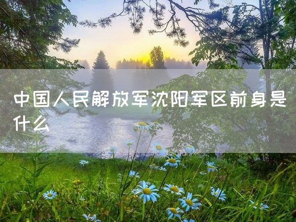 中国人民解放军沈阳军区前身是什么(图1)