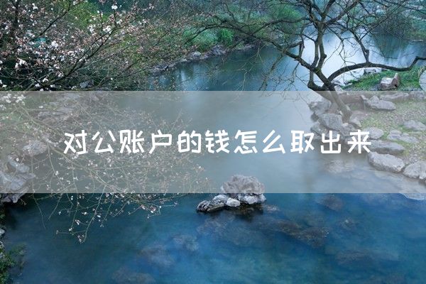 对公账户的钱怎么取出来(图1)