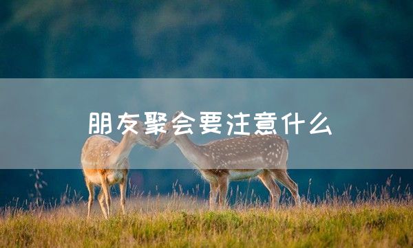 朋友聚会要注意什么(图1)