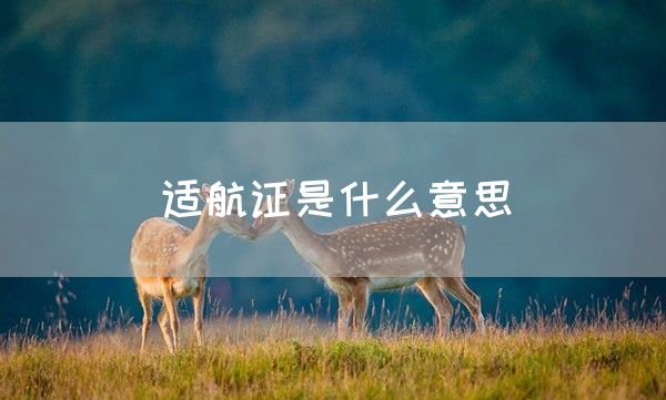 适航证是什么意思(图1)