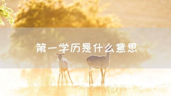 第一学历是什么意思(图1)