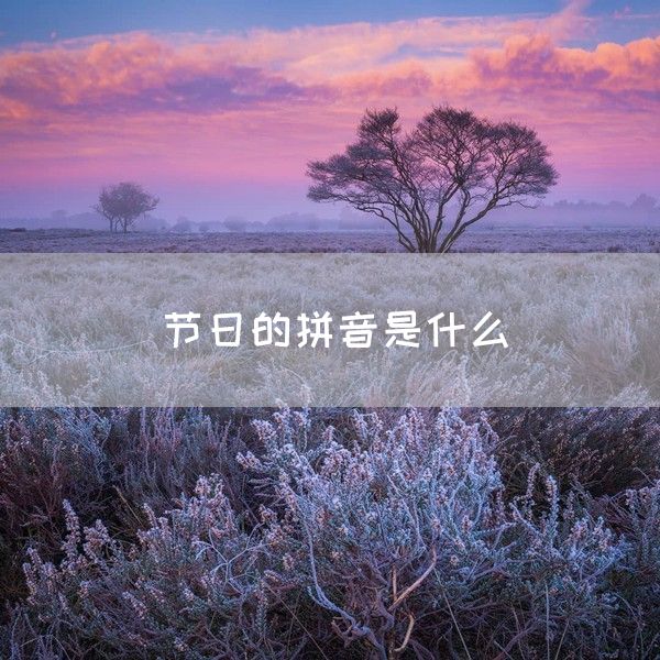 节日的拼音是什么(图1)