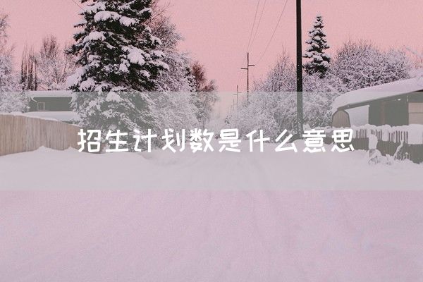 招生计划数是什么意思(图1)