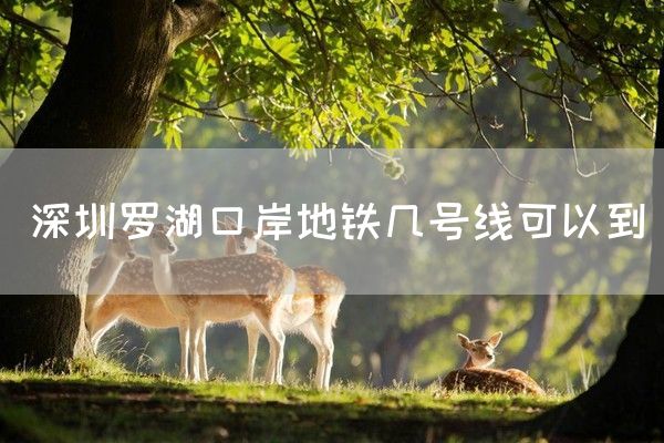 深圳罗湖口岸地铁几号线可以到(图1)