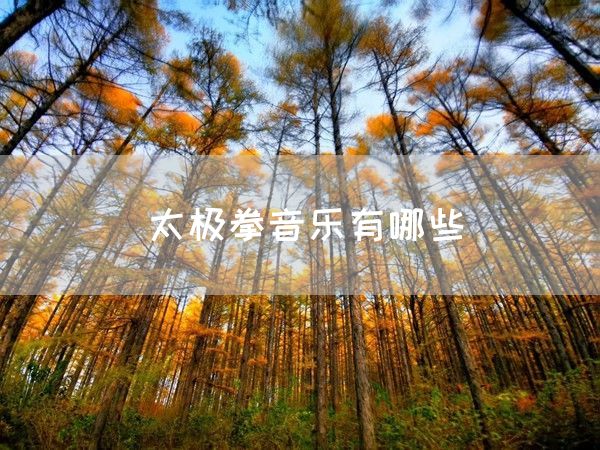 太极拳音乐有哪些(图1)