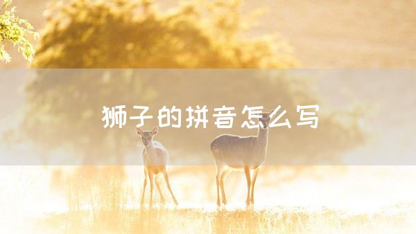 狮子的拼音怎么写(图1)