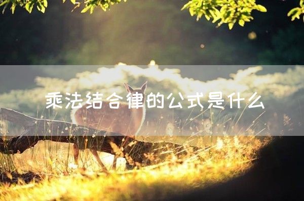 乘法结合律的公式是什么(图1)