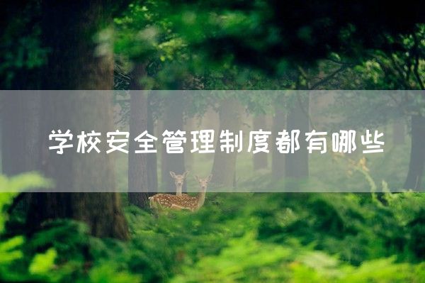 学校安全管理制度都有哪些(图1)