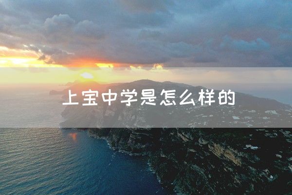 上宝中学是怎么样的(图1)