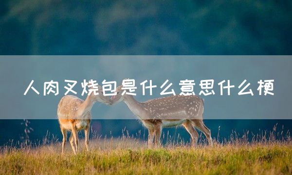 人肉叉烧包是什么意思什么梗(图1)