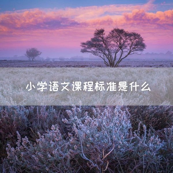 小学语文课程标准是什么(图1)