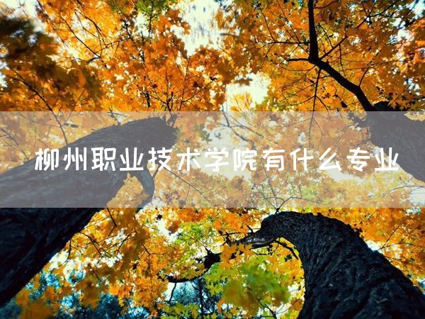 柳州职业技术学院有什么专业