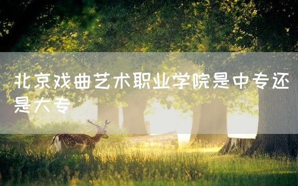 北京戏曲艺术职业学院是中专还是大专(图1)