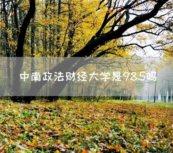 中南政法财经大学是985吗(图1)