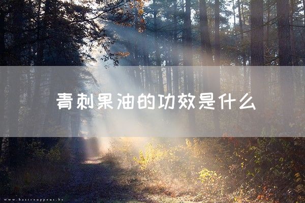 青刺果油的功效是什么(图1)